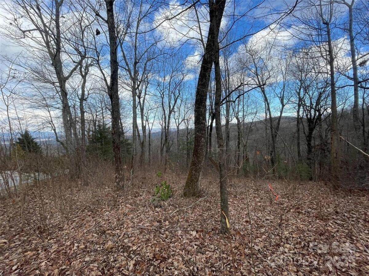 Picture of Residential Land For Sale in Flat Rock, North Carolina, United States