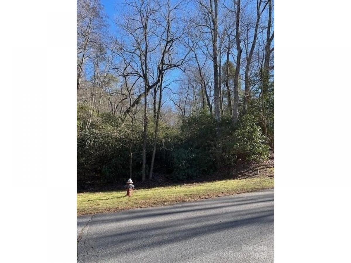 Picture of Residential Land For Sale in Brevard, North Carolina, United States