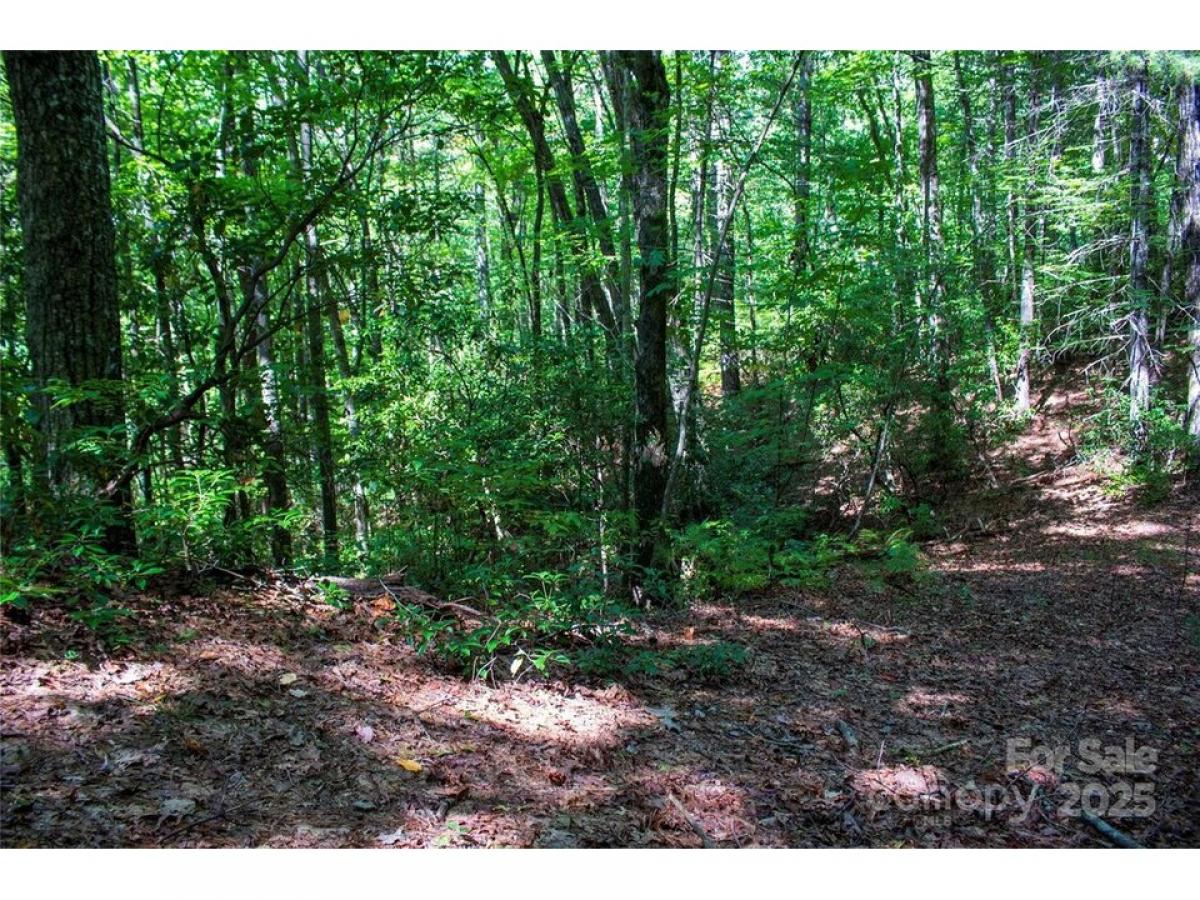 Picture of Residential Land For Sale in Brevard, North Carolina, United States