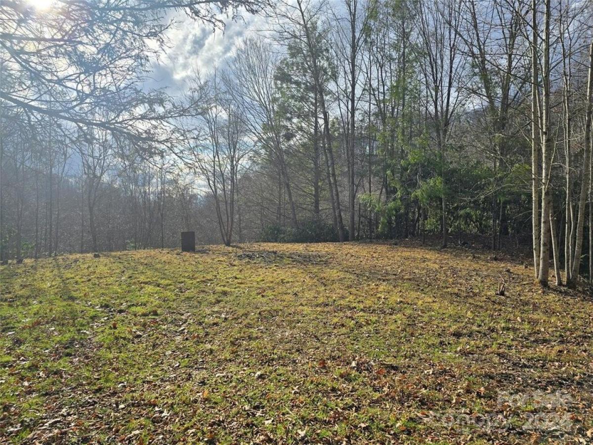 Picture of Residential Land For Sale in Clyde, North Carolina, United States