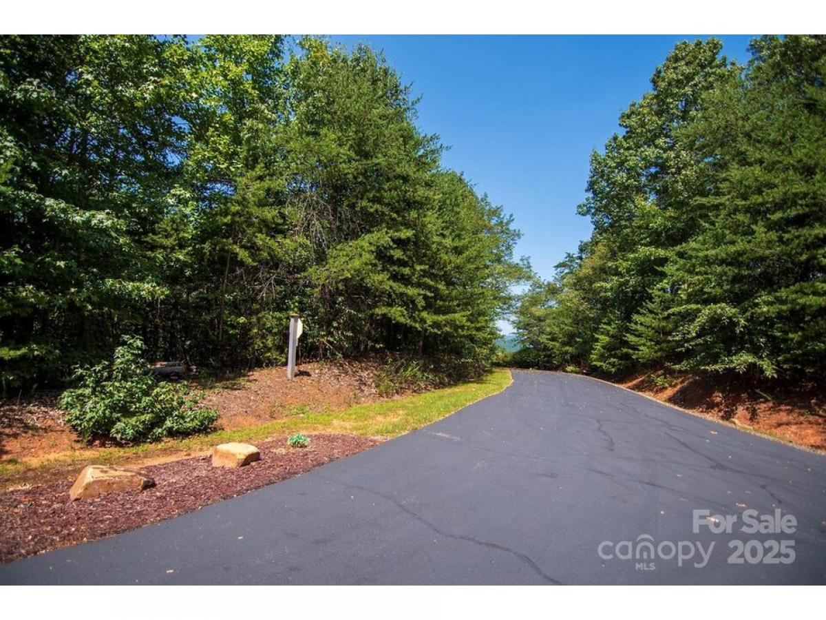 Picture of Residential Land For Sale in Bostic, North Carolina, United States