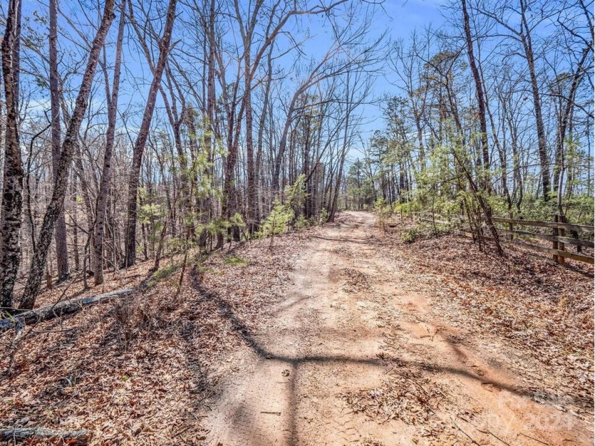 Picture of Residential Land For Sale in Mill Spring, North Carolina, United States