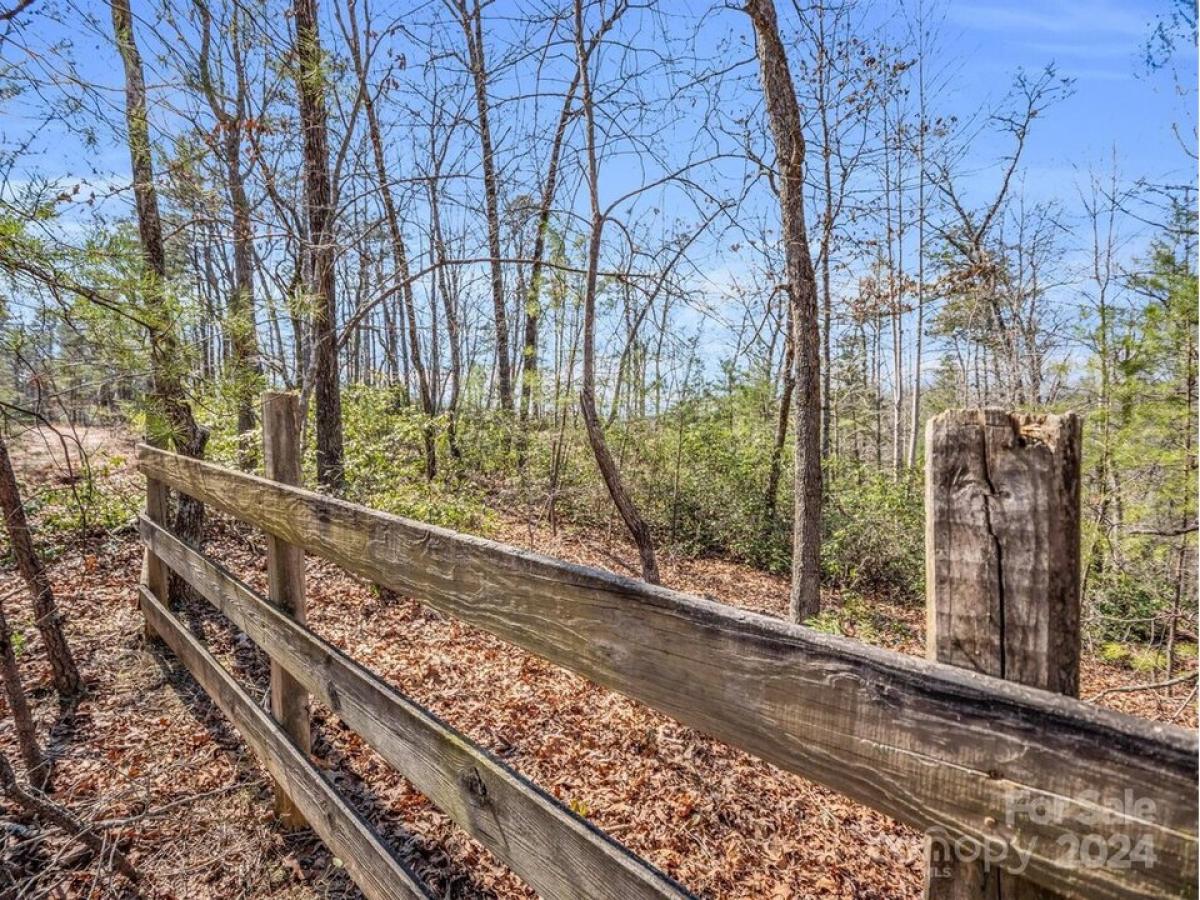 Picture of Residential Land For Sale in Mill Spring, North Carolina, United States