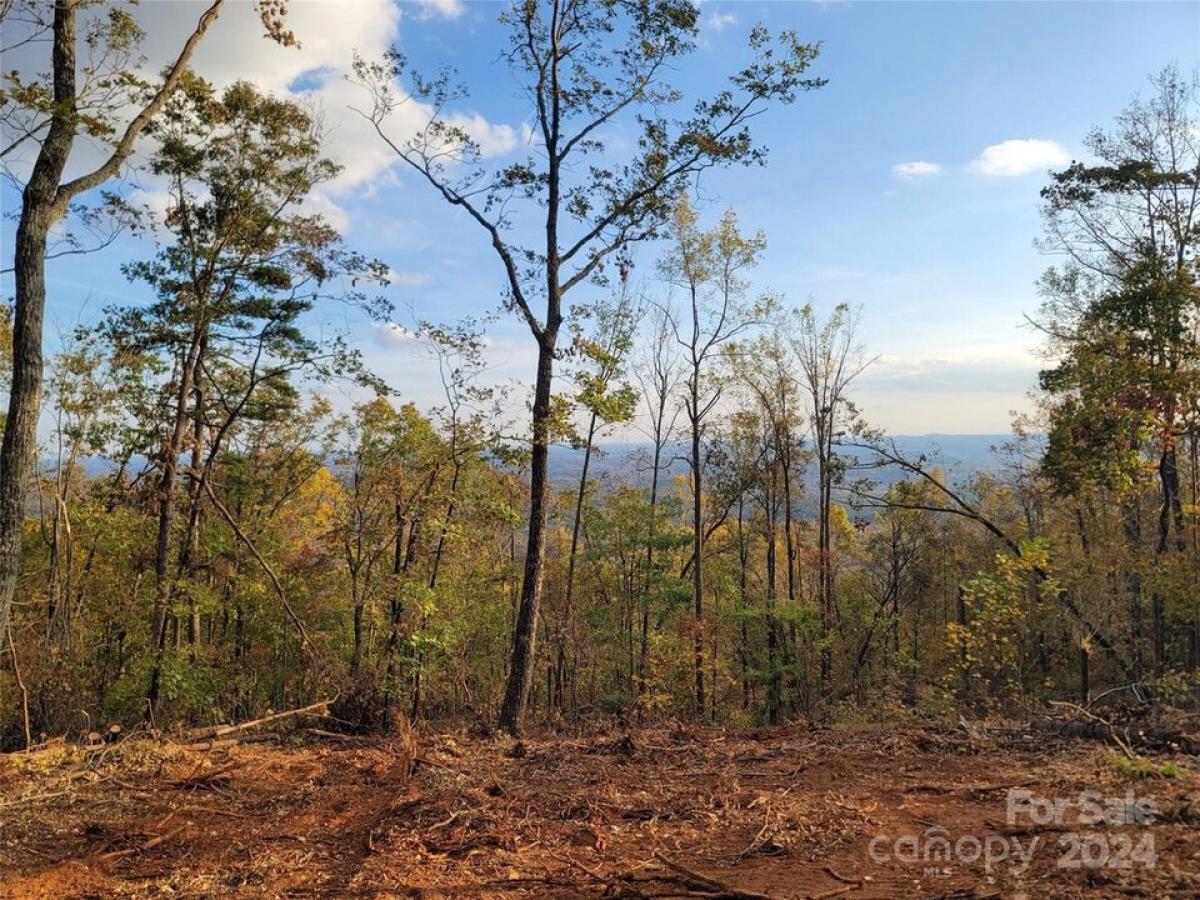 Picture of Residential Land For Sale in Union Mills, North Carolina, United States