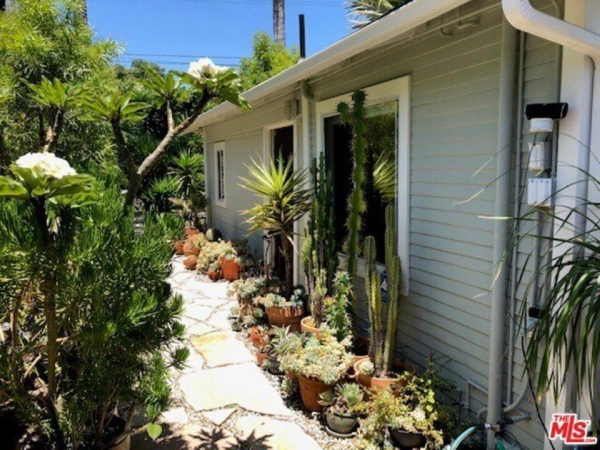 Picture of Home For Rent in Venice, California, United States