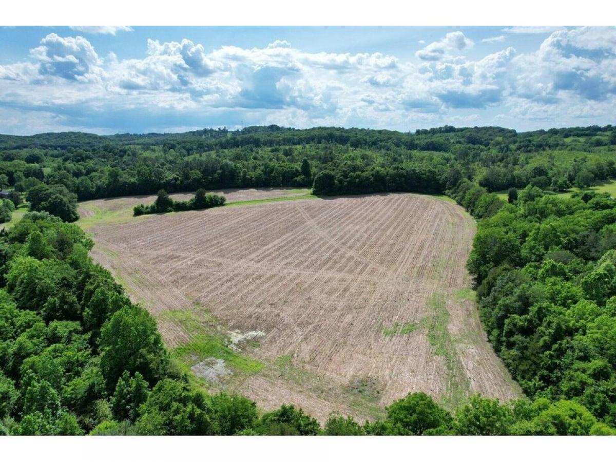 Picture of Residential Land For Sale in Decatur, Tennessee, United States