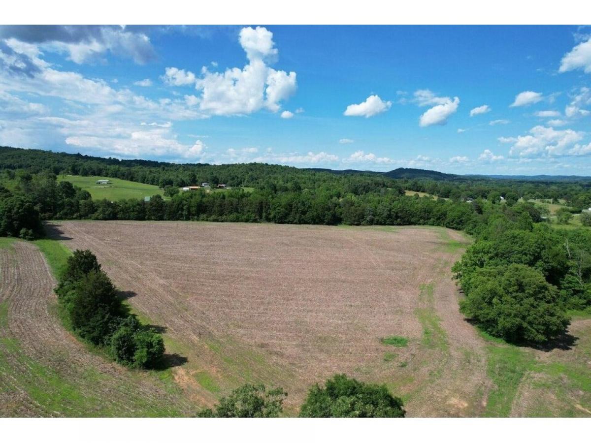 Picture of Residential Land For Sale in Decatur, Tennessee, United States