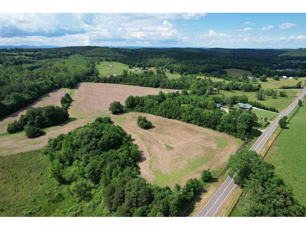 Picture of Residential Land For Sale in Decatur, Tennessee, United States