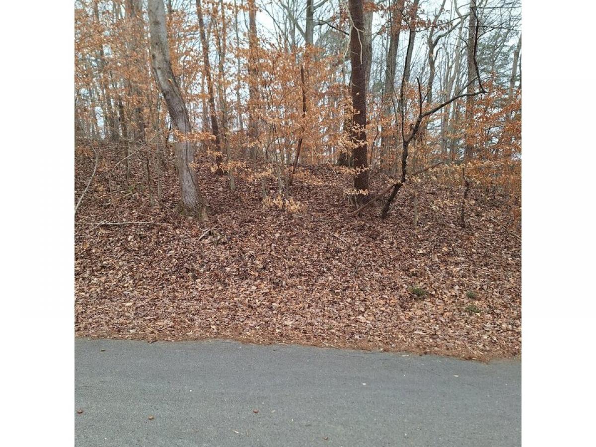 Picture of Residential Land For Sale in Flintstone, Georgia, United States