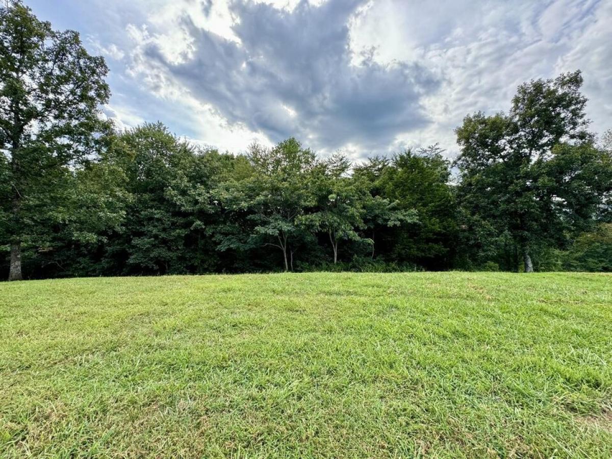 Picture of Residential Land For Sale in Dunlap, Tennessee, United States