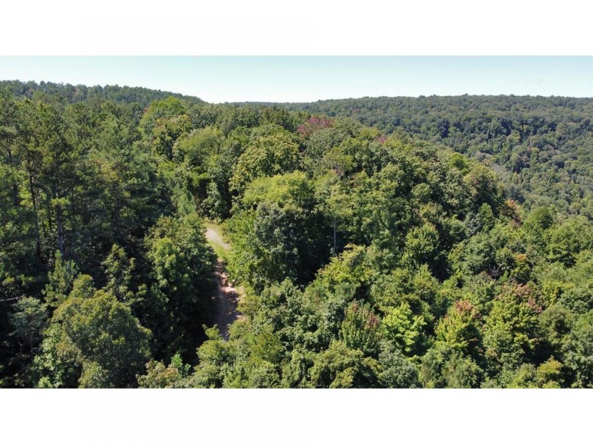 Picture of Residential Land For Sale in Dunlap, Tennessee, United States