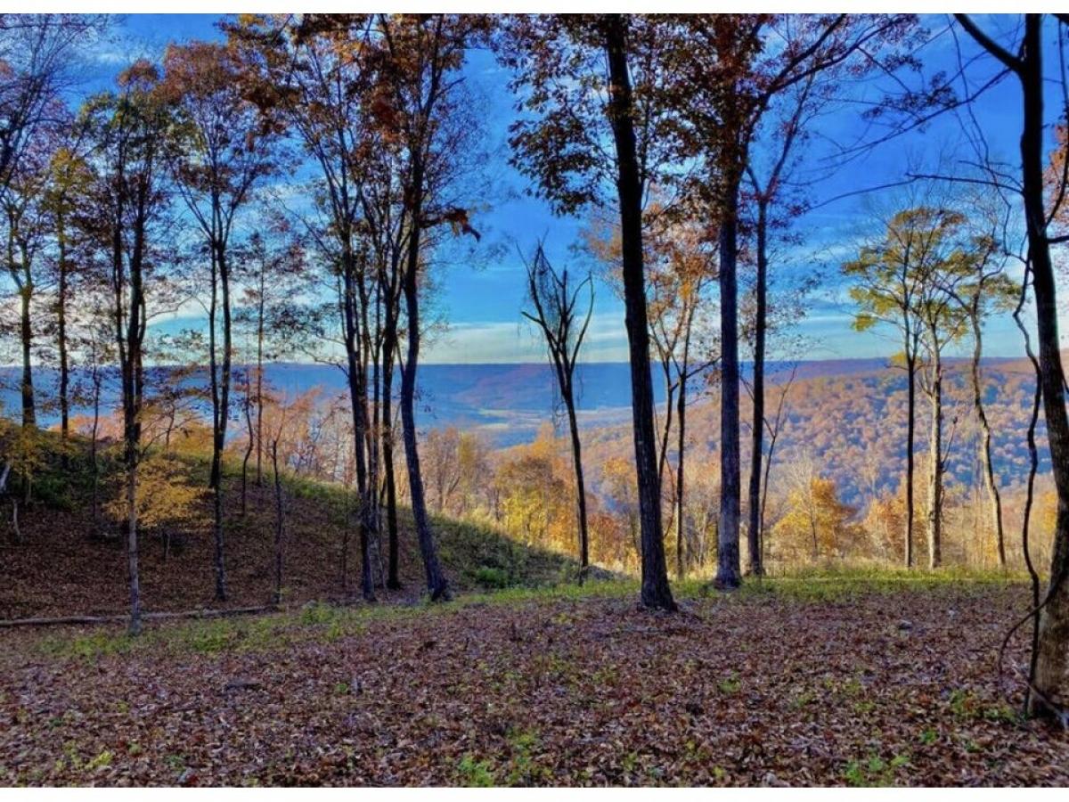 Picture of Residential Land For Sale in Jasper, Tennessee, United States