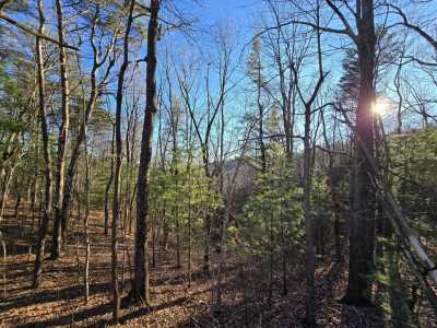 Residential Land For Sale in Chatsworth, Georgia