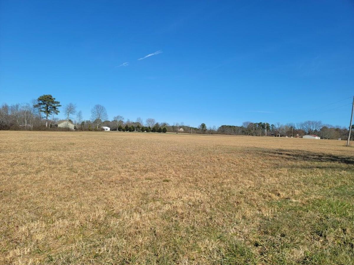 Picture of Residential Land For Sale in Henagar, Alabama, United States