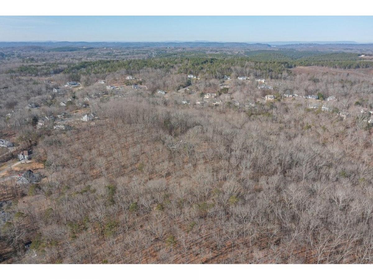 Picture of Residential Land For Sale in Dalton, Georgia, United States