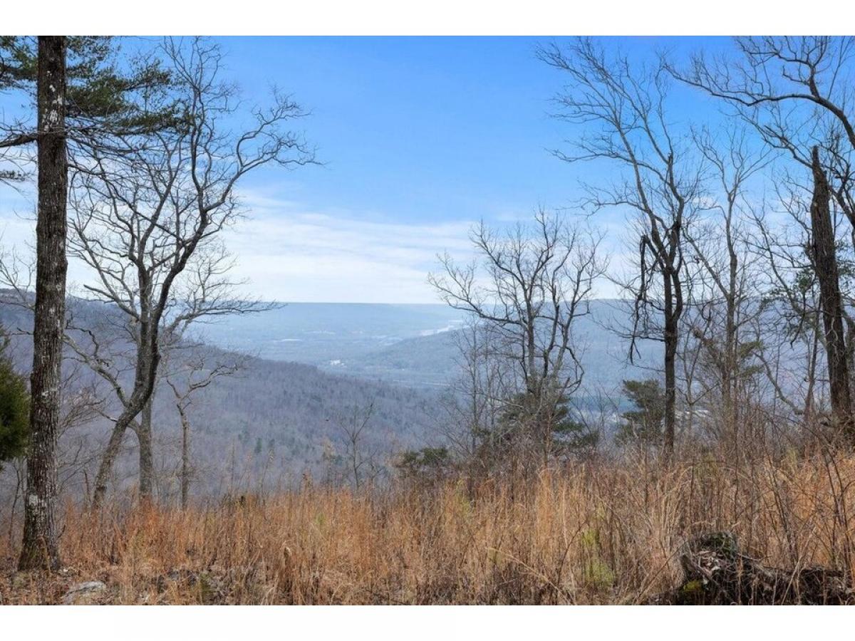 Picture of Residential Land For Sale in Jasper, Tennessee, United States