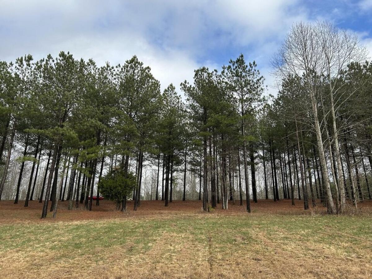 Picture of Residential Land For Sale in Jasper, Tennessee, United States