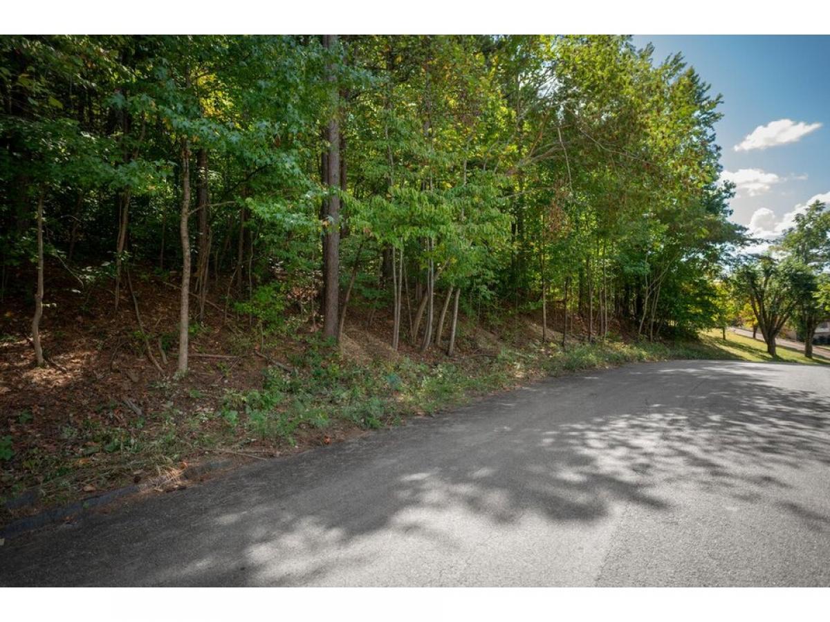 Picture of Residential Land For Sale in Chattanooga, Tennessee, United States