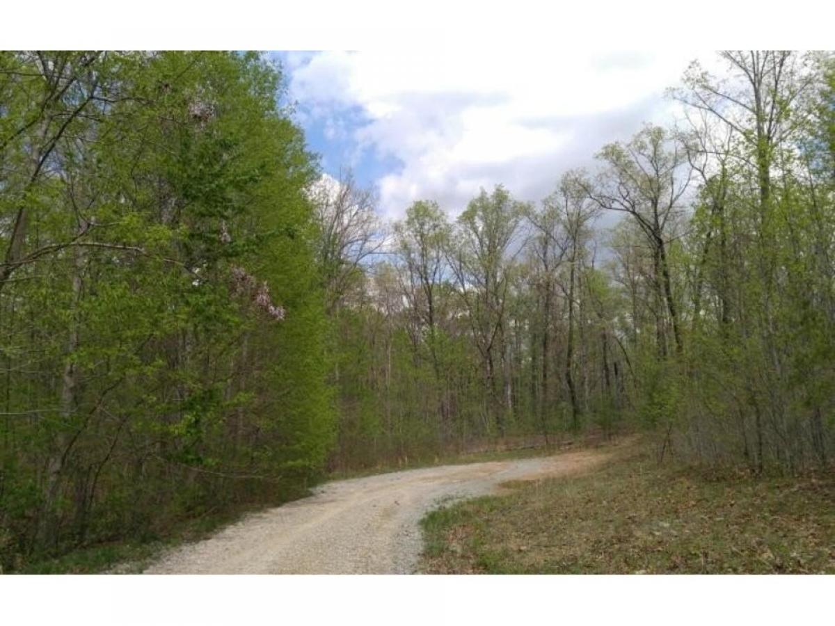 Picture of Residential Land For Sale in Dunlap, Tennessee, United States