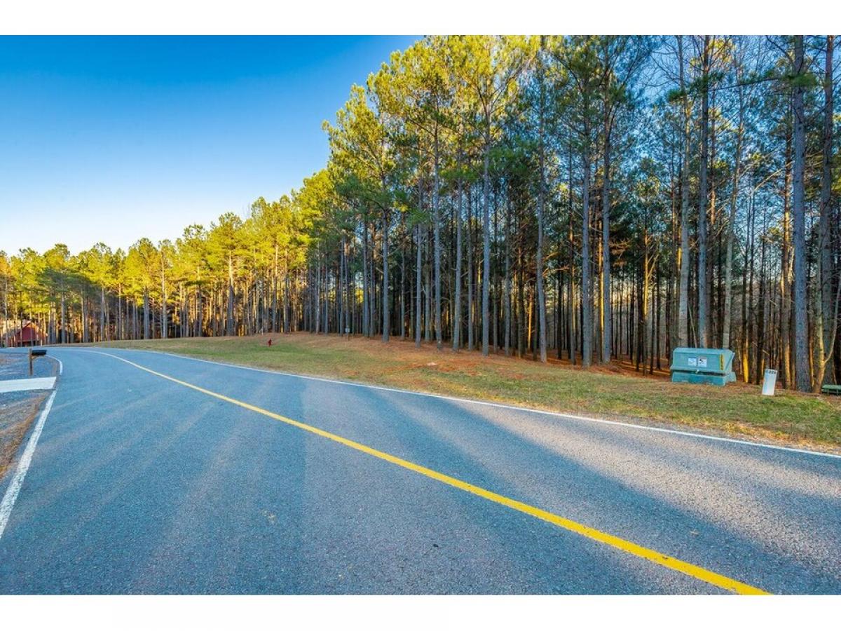 Picture of Residential Land For Sale in Jasper, Tennessee, United States