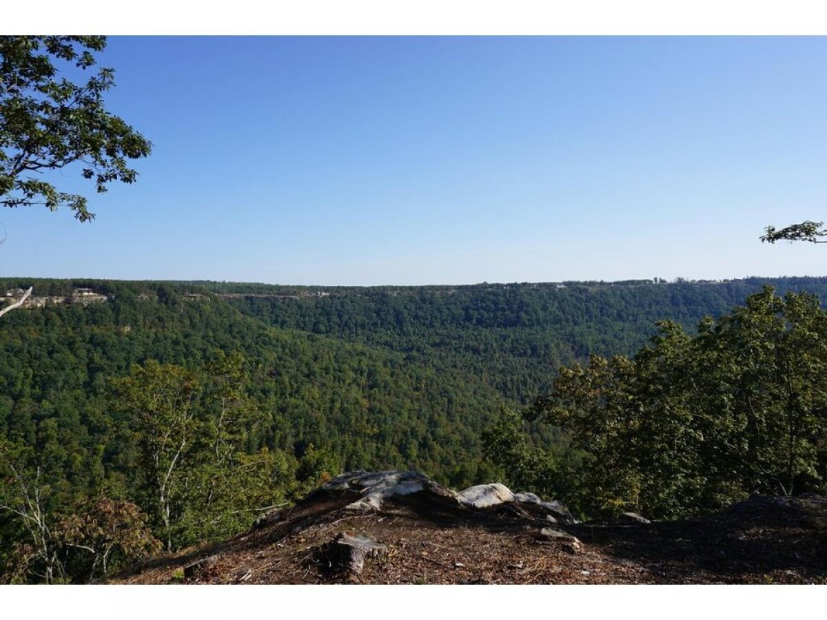 Picture of Residential Land For Sale in Jasper, Tennessee, United States