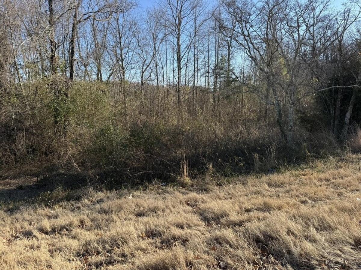 Picture of Residential Land For Sale in Bryant, Alabama, United States