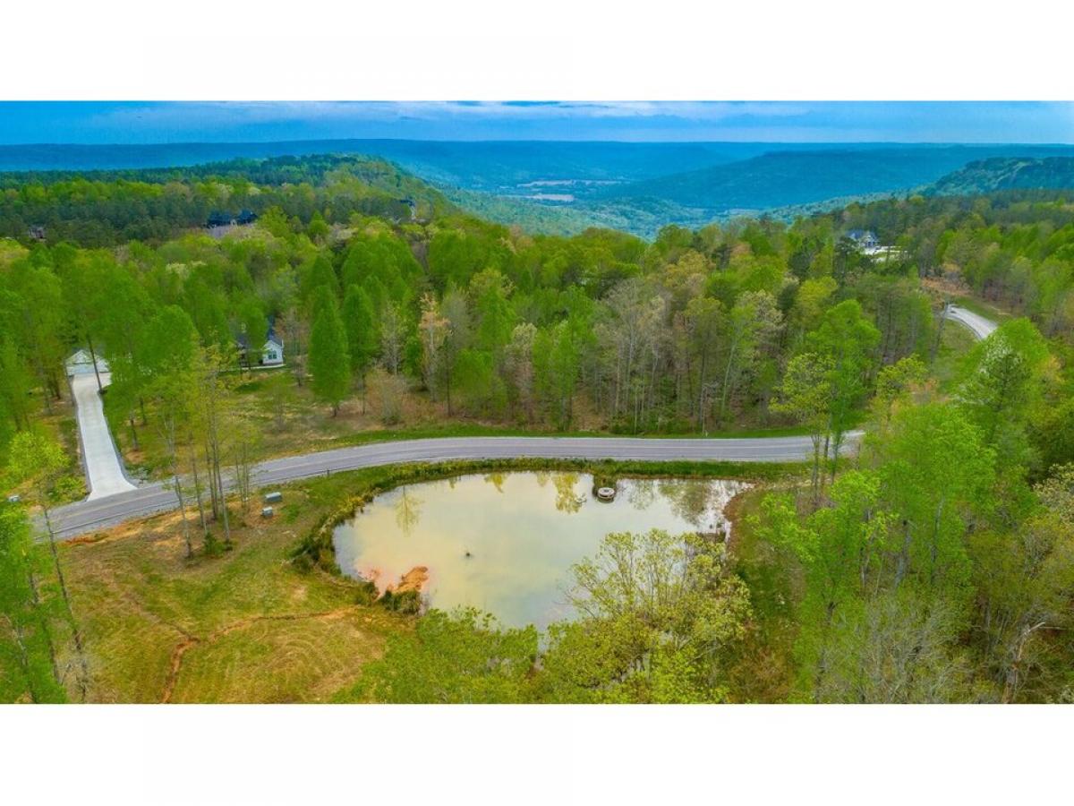 Picture of Residential Land For Sale in Jasper, Tennessee, United States