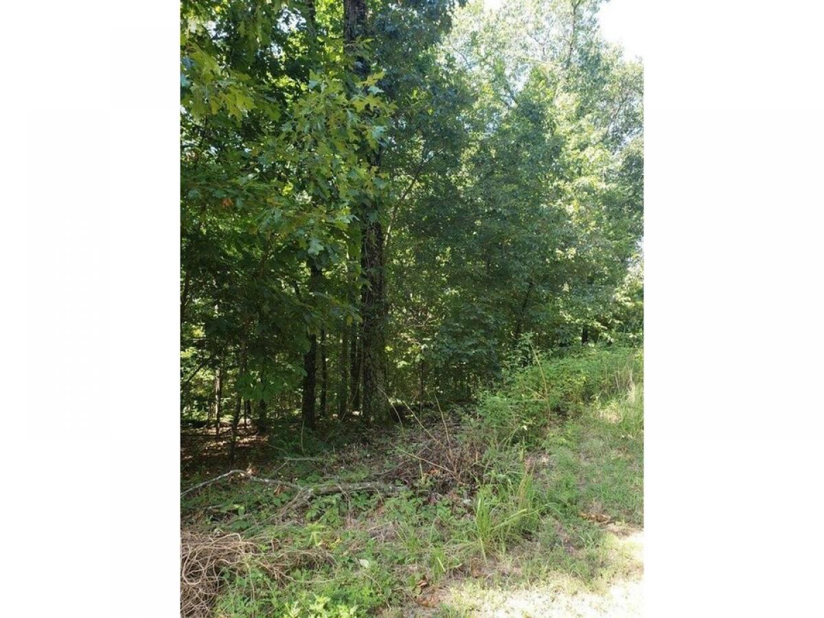 Picture of Residential Land For Sale in Chattanooga, Tennessee, United States