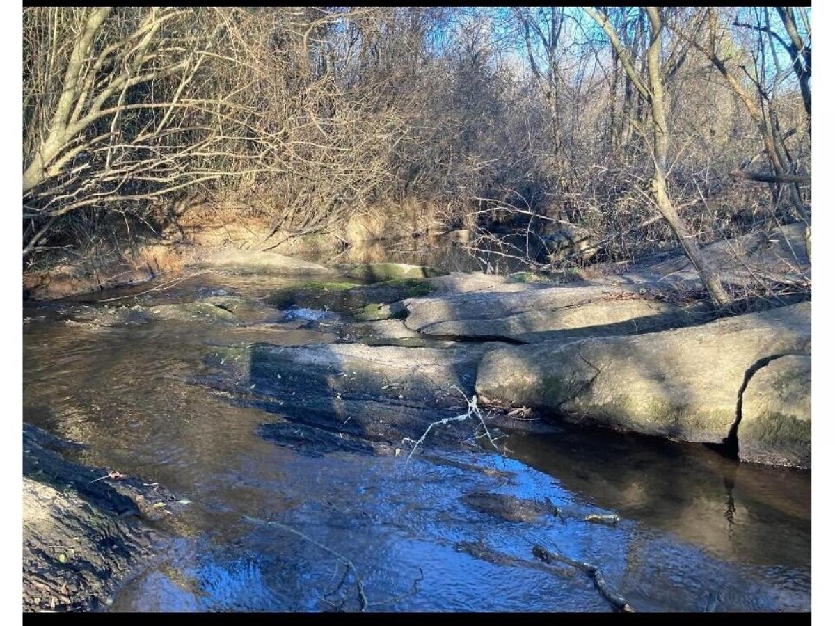 Picture of Residential Land For Sale in Rocky Face, Georgia, United States