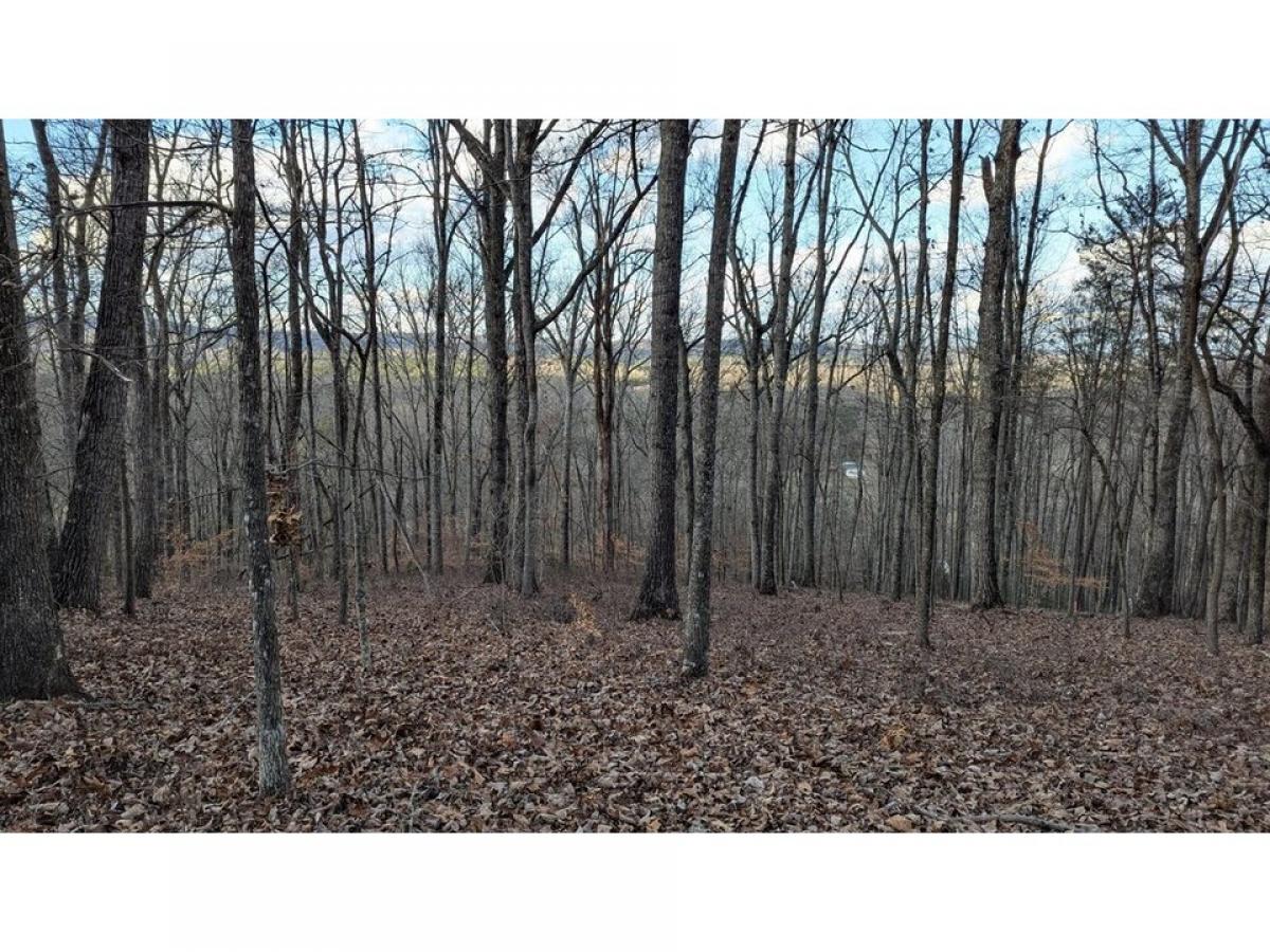 Picture of Residential Land For Sale in Cleveland, Tennessee, United States