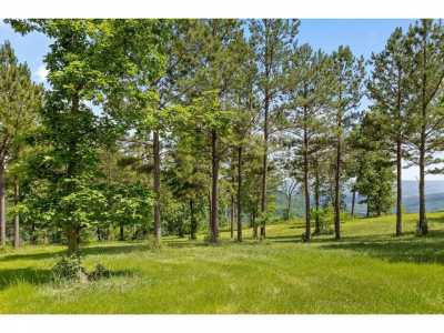 Residential Land For Sale in Jasper, Tennessee