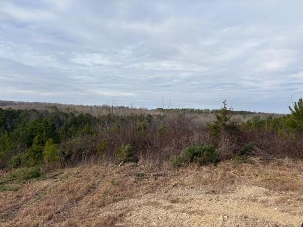 Picture of Residential Land For Sale in Lafayette, Georgia, United States