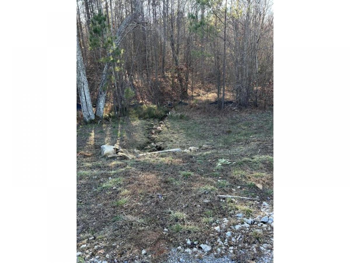 Picture of Residential Land For Sale in Jasper, Tennessee, United States