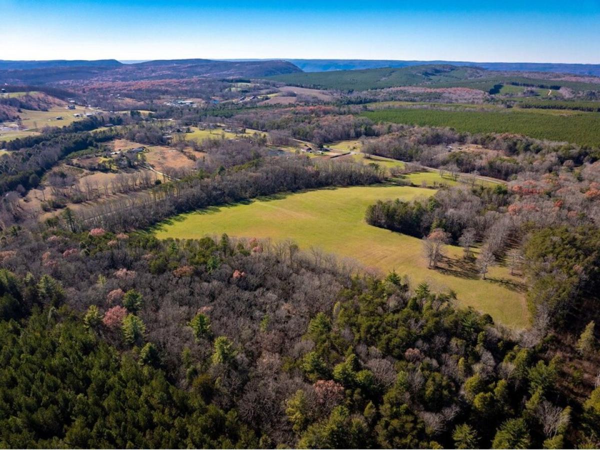 Picture of Residential Land For Sale in Graysville, Tennessee, United States