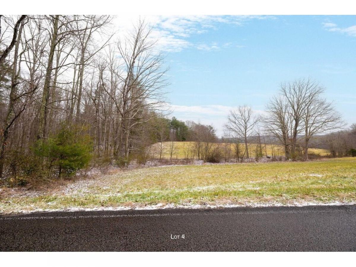 Picture of Residential Land For Sale in Graysville, Tennessee, United States