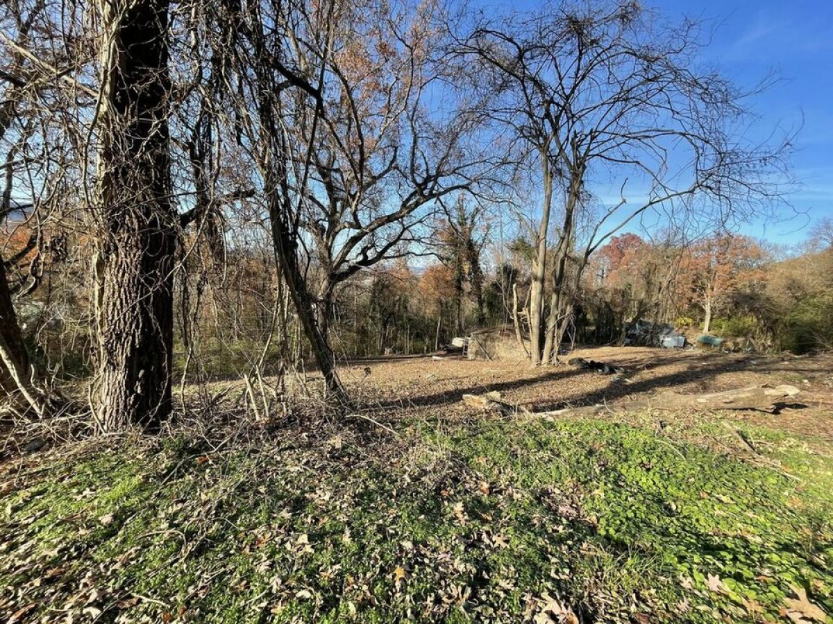 Picture of Residential Land For Sale in Rossville, Georgia, United States