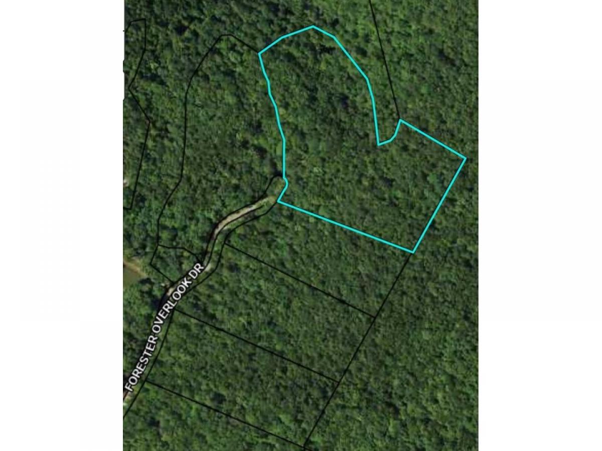 Picture of Residential Land For Sale in Menlo, Georgia, United States