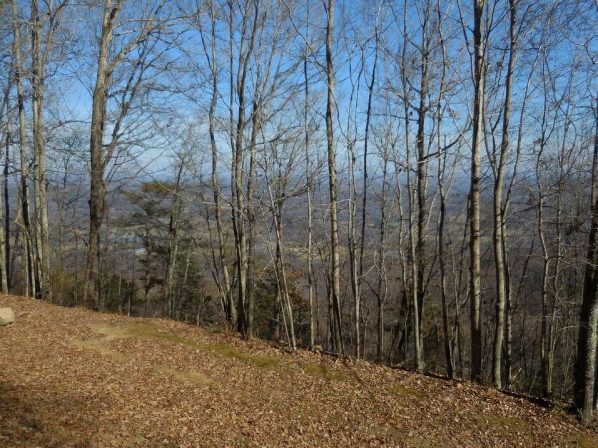 Picture of Residential Land For Sale in Menlo, Georgia, United States