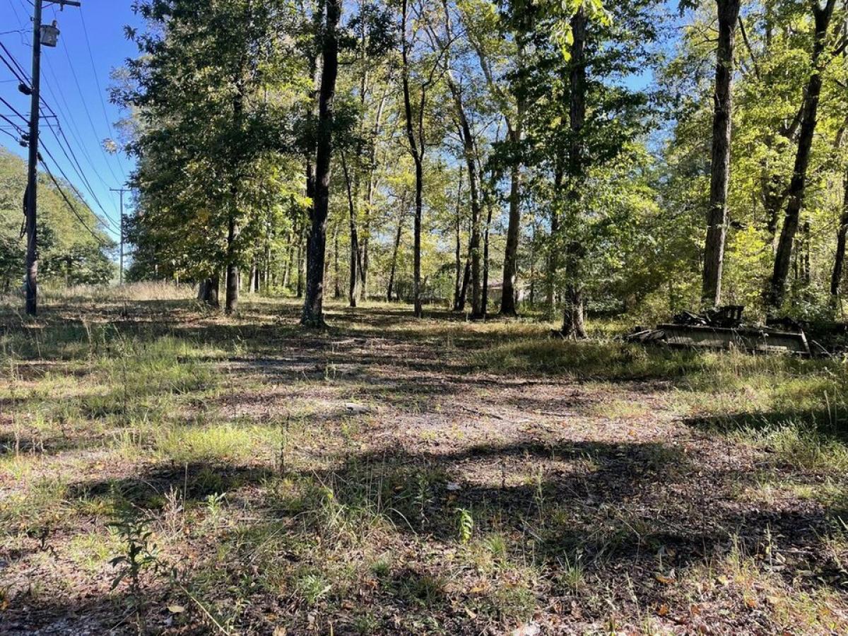 Picture of Residential Land For Sale in Signal Mountain, Tennessee, United States