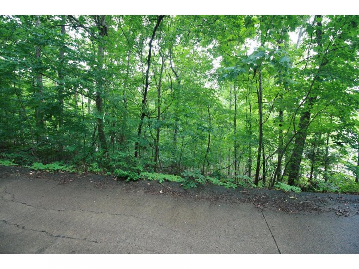 Picture of Residential Land For Sale in Harrison, Tennessee, United States