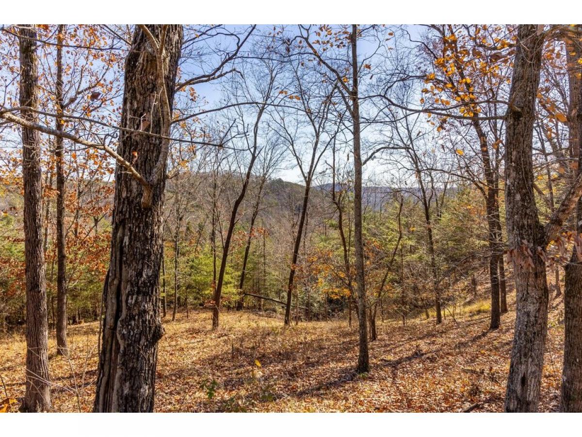 Picture of Residential Land For Sale in Ooltewah, Tennessee, United States