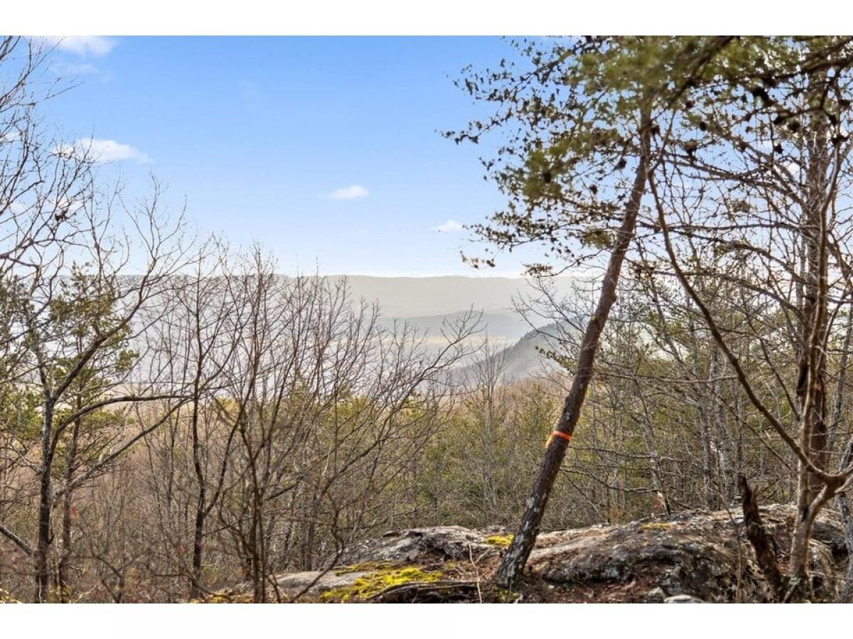 Picture of Residential Land For Sale in Pikeville, Tennessee, United States