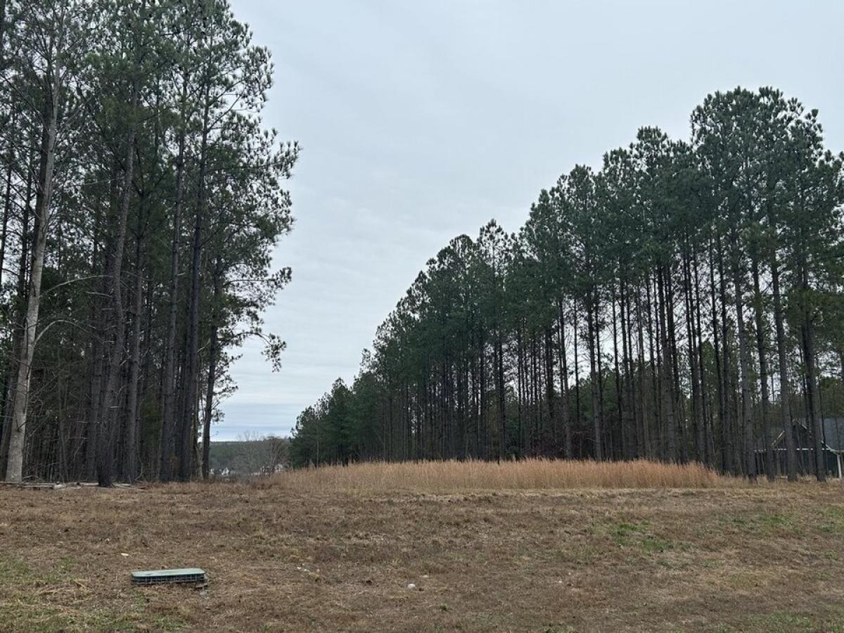 Picture of Residential Land For Sale in Jasper, Tennessee, United States