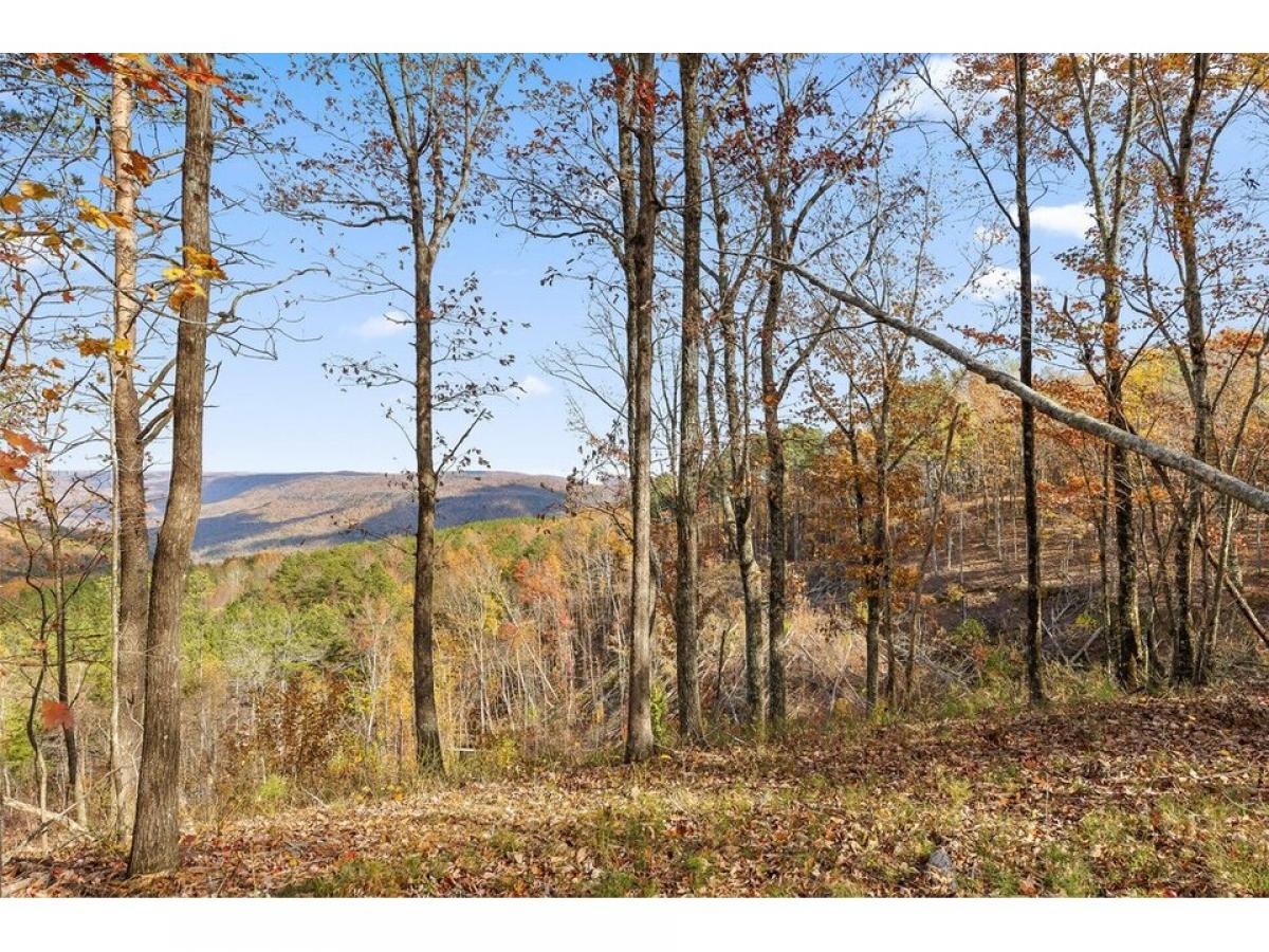 Picture of Residential Land For Sale in Guild, Tennessee, United States