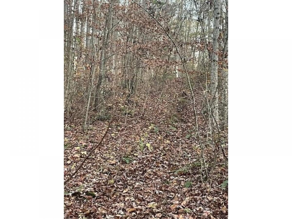 Picture of Residential Land For Sale in Old Fort, Tennessee, United States