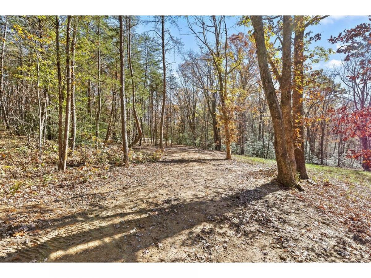 Picture of Residential Land For Sale in Signal Mountain, Tennessee, United States