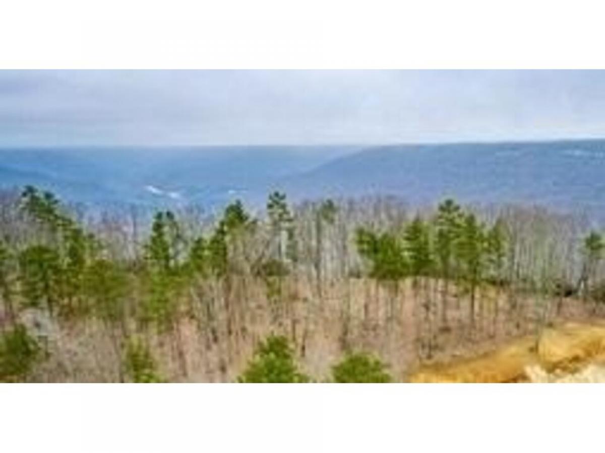 Picture of Residential Land For Sale in Jasper, Tennessee, United States