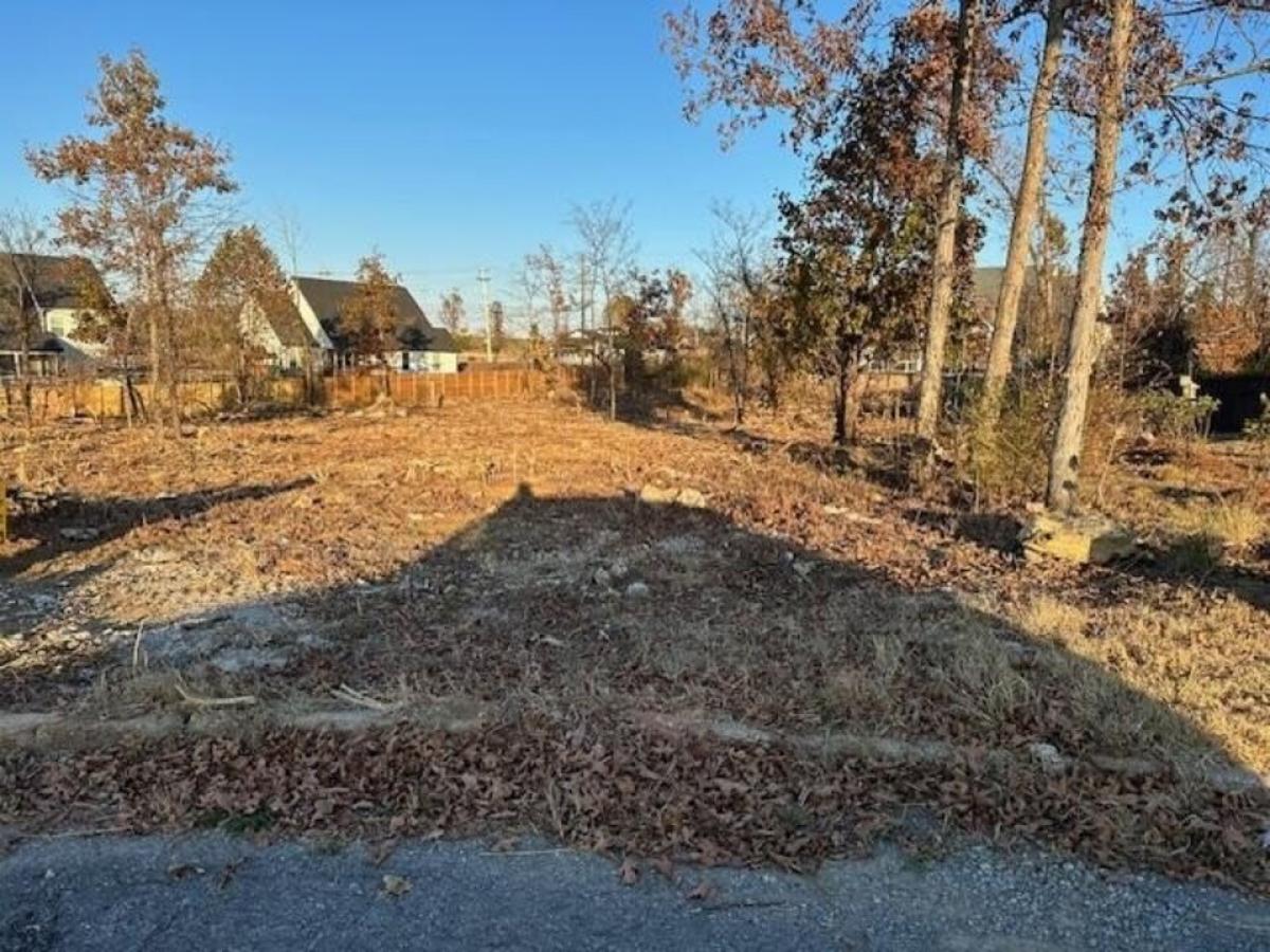 Picture of Residential Land For Sale in Chattanooga, Tennessee, United States