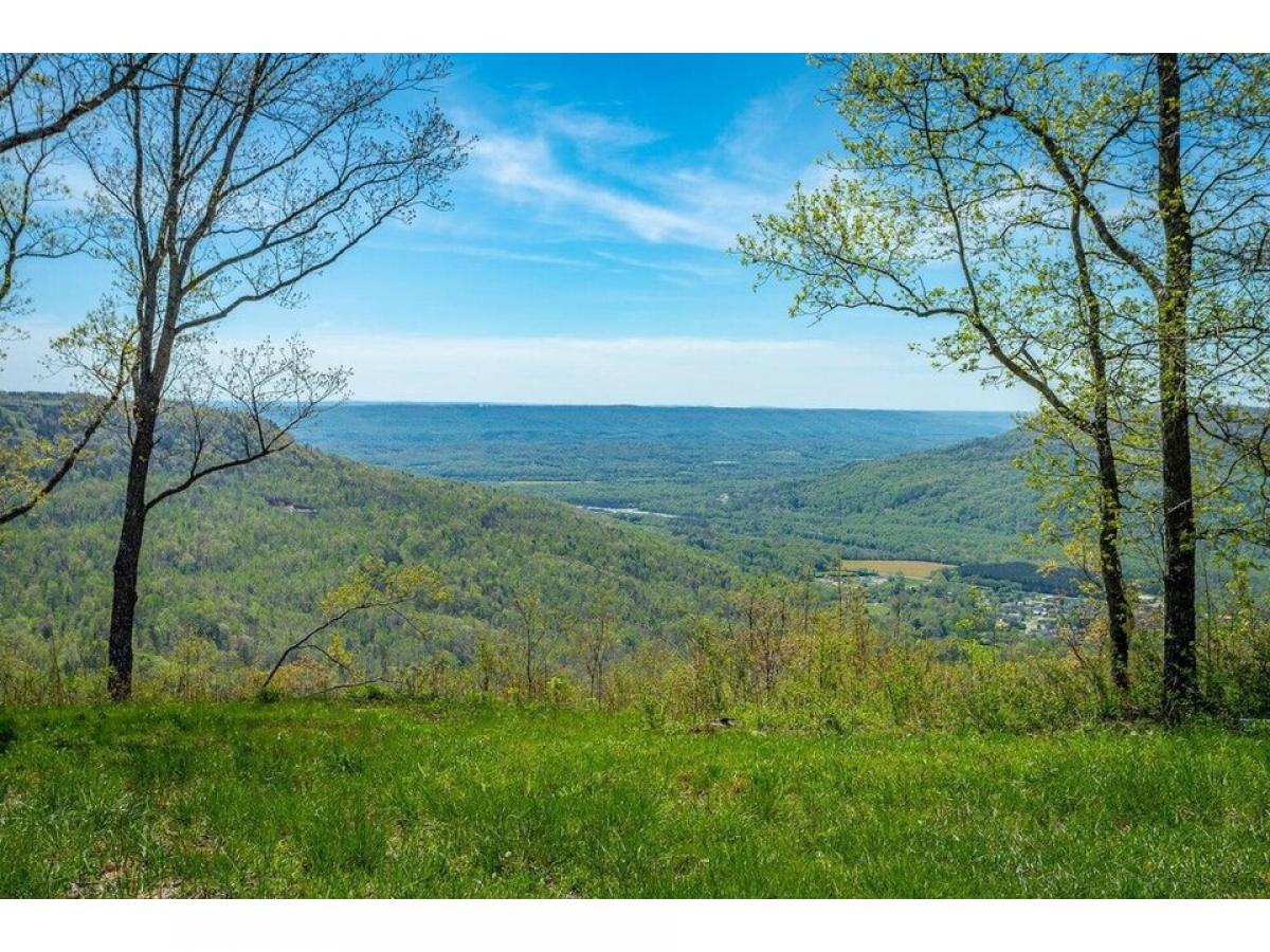 Picture of Residential Land For Sale in Jasper, Tennessee, United States