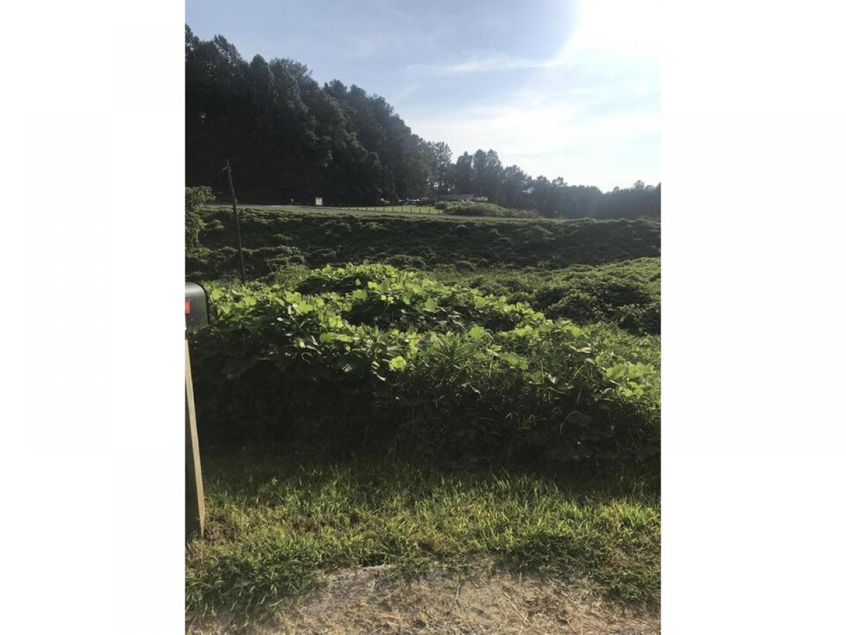 Picture of Residential Land For Sale in Ducktown, Tennessee, United States